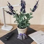 Lavendel Ξενοδοχείο με διαμερίσματα Νορντχάουζεν