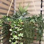 Appart hôtel Lavendel 3*