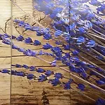 Appart hôtel Lavendel 3*