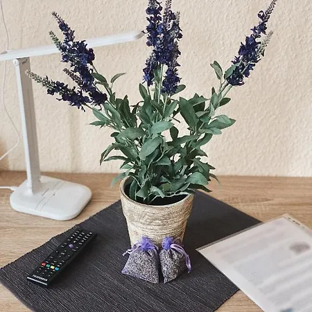 Lavendel Ξενοδοχείο με διαμερίσματα Νορντχάουζεν
