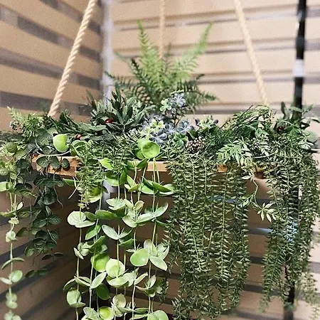 Apart Otel Lavendel 3*