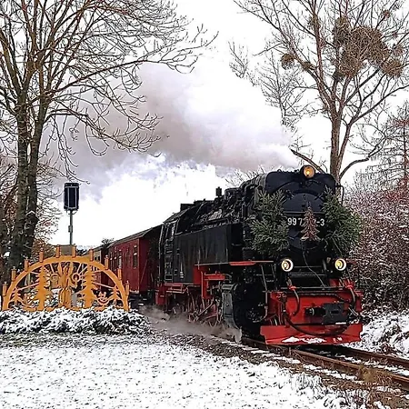 Lavendel 3* Nordhausen