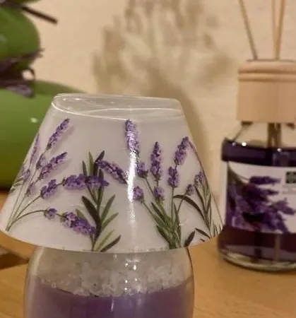 Lavendel Ξενοδοχείο με διαμερίσματα Νορντχάουζεν