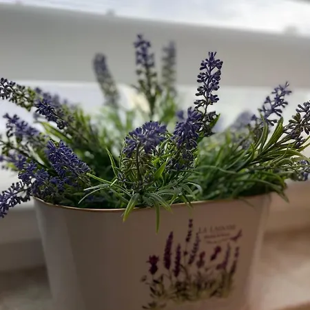 Lavendel *