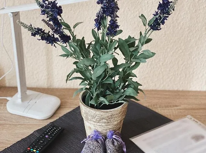 Lavendel Apart Otel Nordhausen
