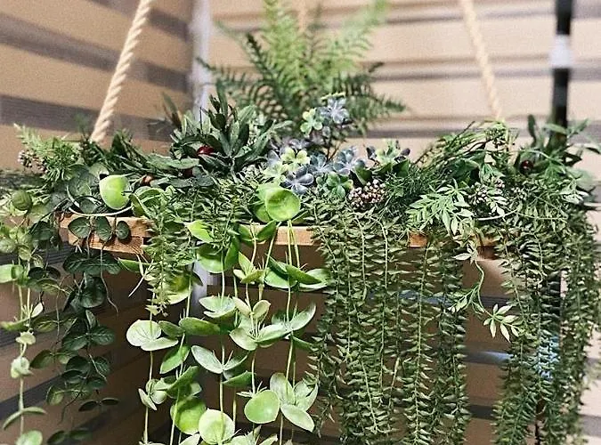 Aparthotel Lavendel 3*