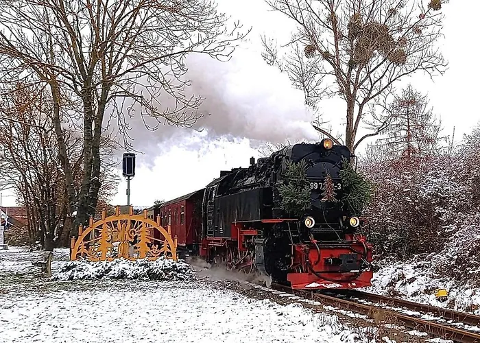 Lavendel 3* Nordhausen