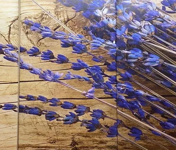 Apart Otel Lavendel 3*